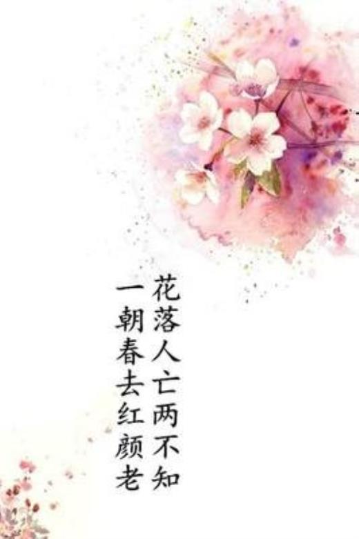 精美句子摘抄短句